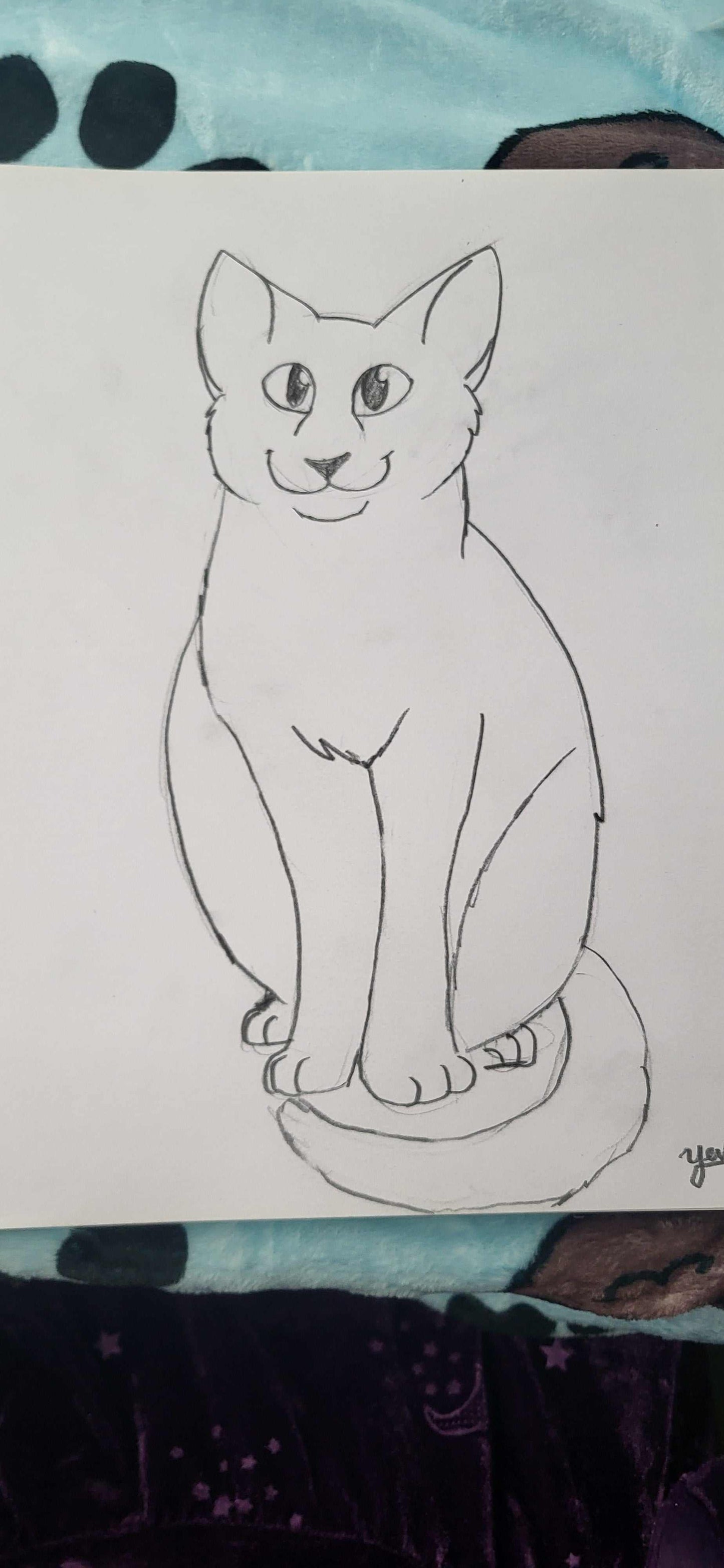 Custom Five Minute Sketch