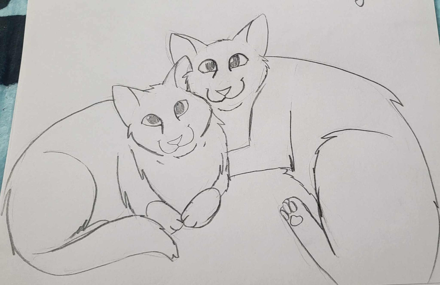 Custom Five Minute Sketch