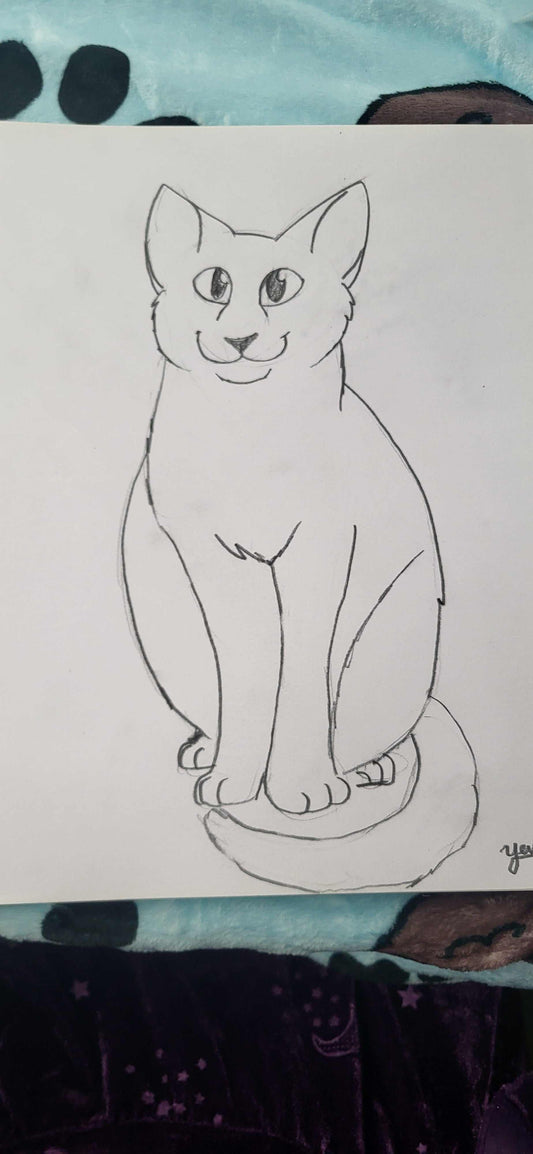 Custom Five Minute Sketch