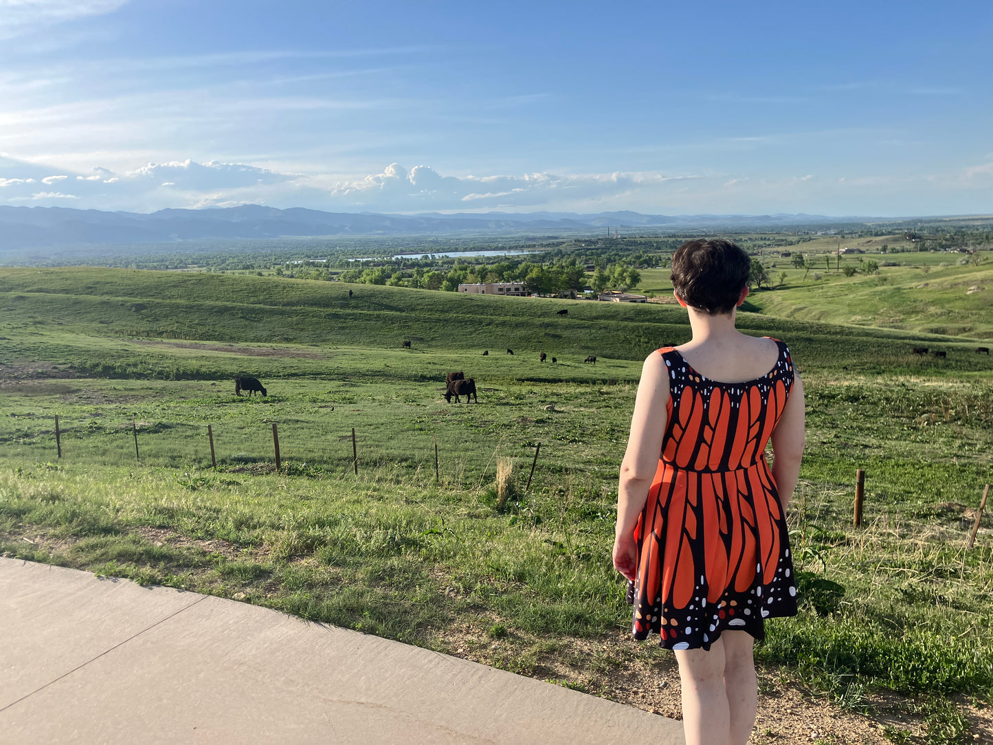 Monarch Butterfly Dress