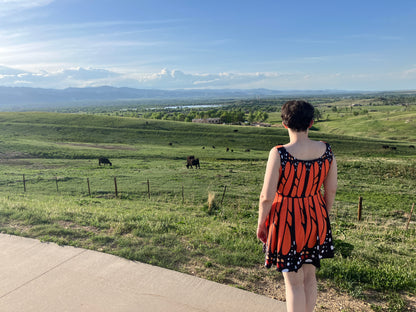 Monarch Butterfly Dress