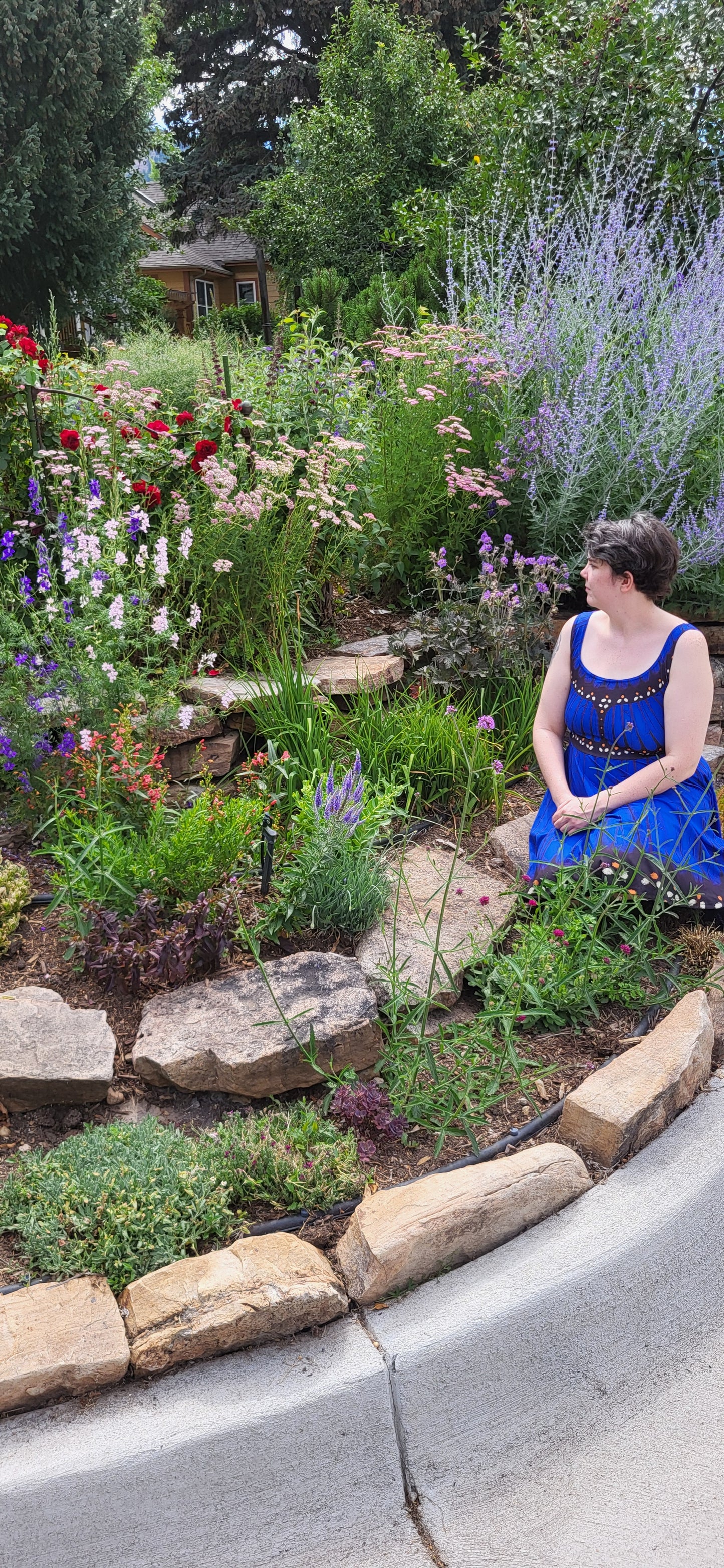 Blue Morpho Butterfly Dress- Natural design