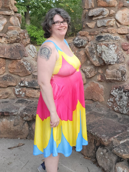 Pansexual pride dress- skater dress