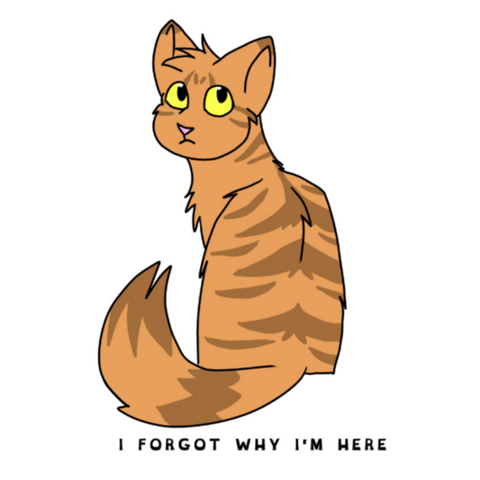 Forgetful Cat T-shirt