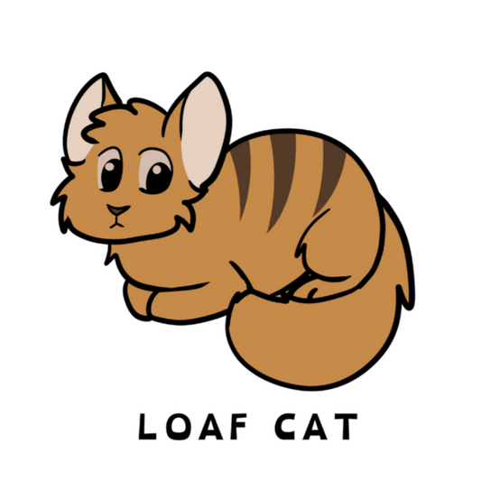 Loaf cat T-shirt